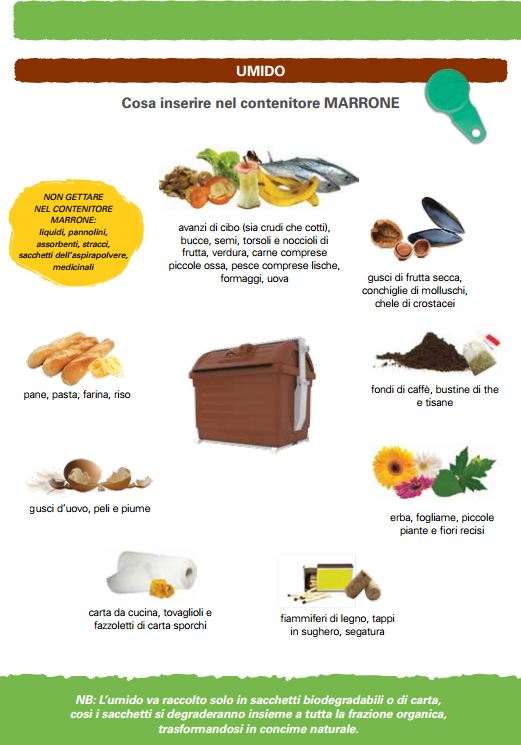 Questa immagine ha l'attributo alt vuoto; il nome del file è umido.jpg