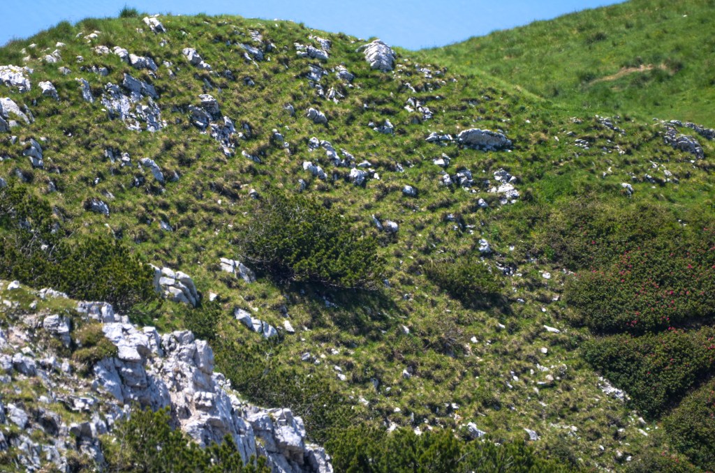 proprietà di Fabiana De Santis